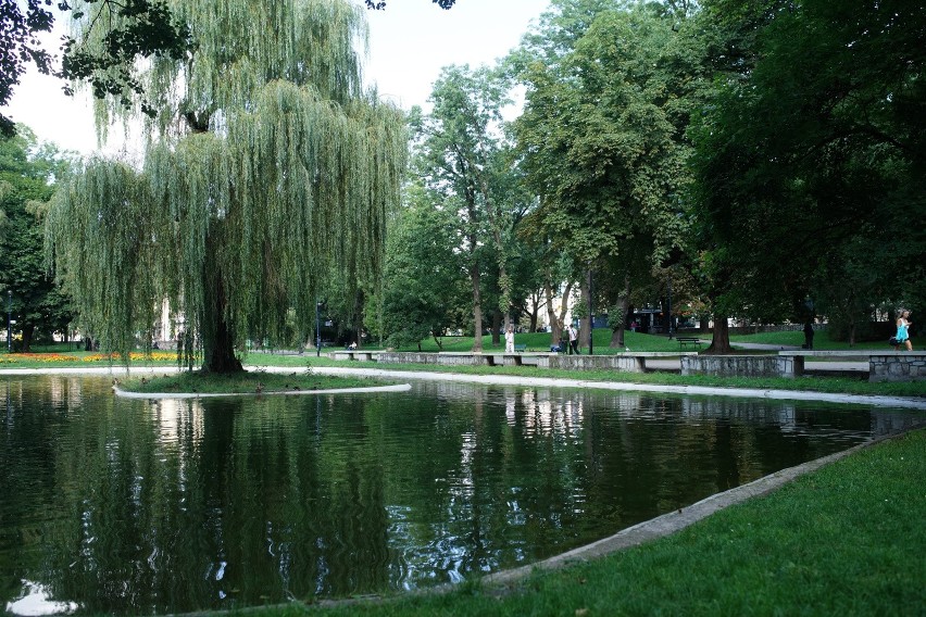 Park Krakowski pójdzie do remontu. Potrwa ponad rok