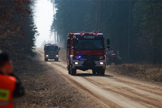 Strażacy przeszukali około 350 hektarów okolicznych lasów.