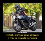 "Posiadanie motocykla jest jak..." Zobacz najlepsze MEMY o motocyklistach