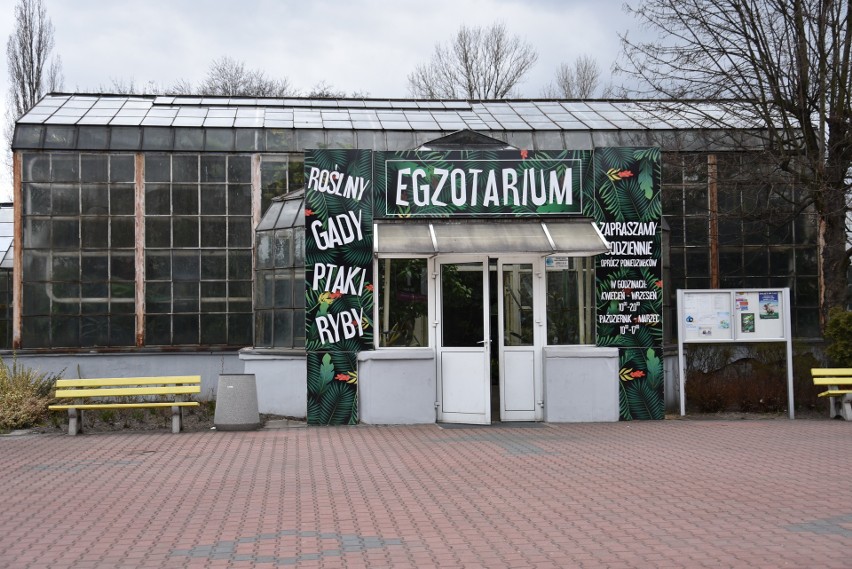 Egzotarium w Sosnowcu