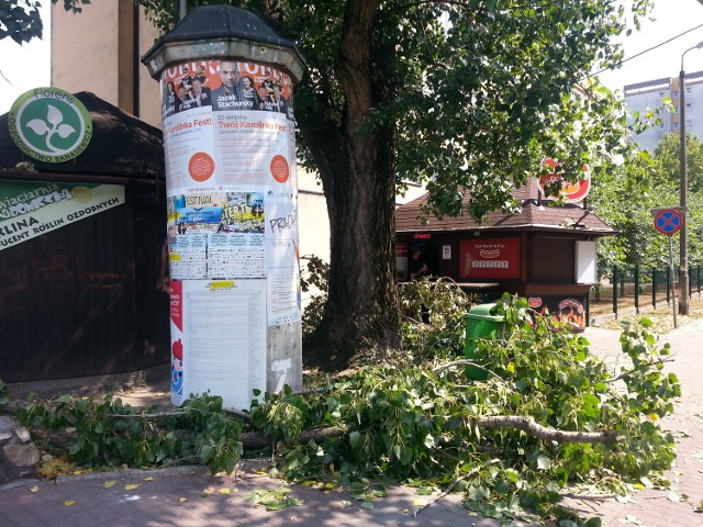 W czwartek rano wielka gałąź spadła z drzewa rosnącego przy skrzyżowaniu ul. Spychalskiego i Łąkowej w Opolu.