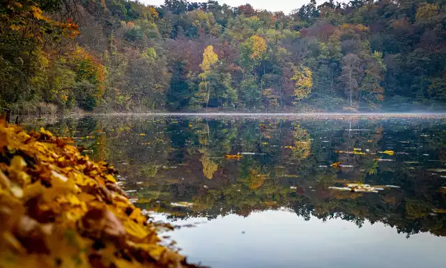 Jesienne jezioro Szmaragdowe zachwyca! Wygląda jak z bajki. Zobaczcie, jak wygląda jezioro w ostatni weekend października. Ostrzegamy, będą piękne widoki