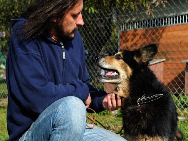 Artur Bąk, kierownik schroniska dla bezdomnych zwierząt w Orzechowcach: Mam nadzieję, że znajdzie się dobry człowiek, który zechce adoptować psa uratowanego ze studzienki kanalizacyjnej.