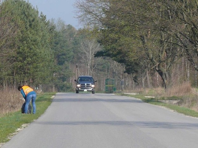 W sobotę, 12 kwietnia wielkie sprzątanie terenu gminy Krasocin, zwłaszcza okolic dróg, rowów i lasów.