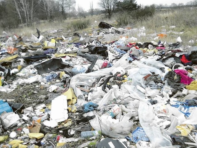 Na śmieciowym polu pod Okuninem można znaleźć niemal wszystko, od części samochodowych po wyposażenie domu