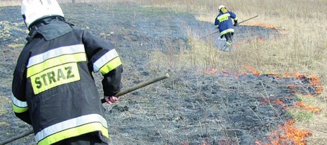 Tylko w tym roku ełccy strażacy do pożarów traw wyjeżdżali ponad 70 razy. Koszt każdej takiej akcji to co najmniej kilkaset złotych.