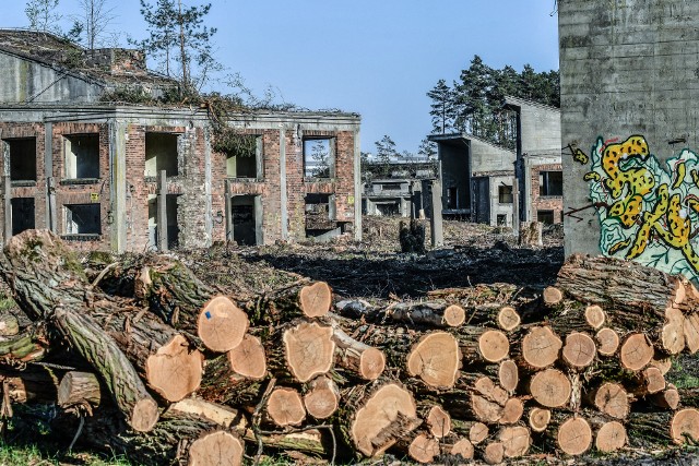 Nadleśnictwo Bydgoszcz chce statusu lasu ochronnego m.in. zadrzewionych terenów parku przemysłowego. Wtedy za wycinkę drzew pod inwestycje trzeba będzie zapłacić 50 procent więcej.