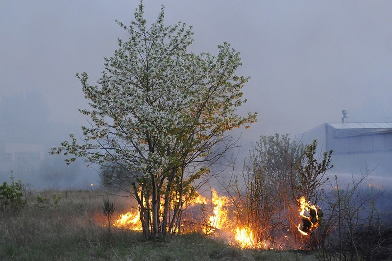Pożar traw na ulicy Podmiejskiej (Osowa Góra)