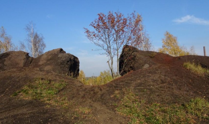 Dolina Lipinki w Świętochłowicach