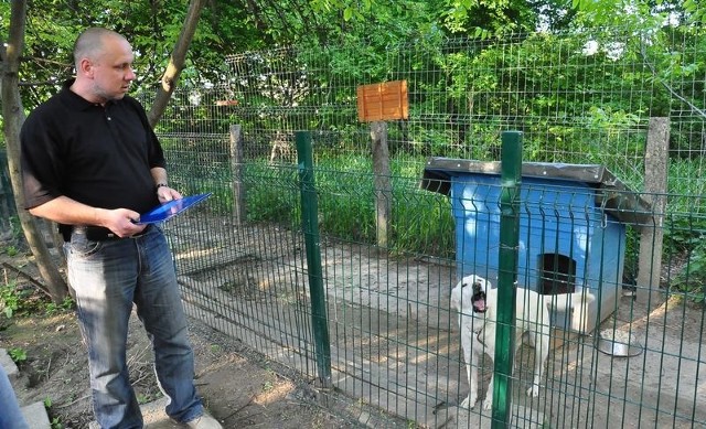 Bezpańskie psy trafiają obecnie do przytuliska znajdującego się przy ulicy Wiśniowej w Sandomierzu.