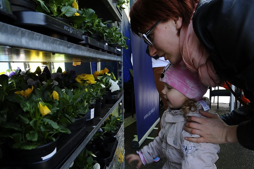 Kwiat za grat. Rozpoczął się Tydzień Ziemi w Szczecinie