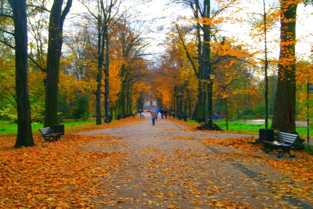 Złota polska jesień ma niepowtarzalny urok. Szczególnie pięknie jesienią wygląda park pszczyński. Zachęcamy do obejrzenia zdjęć.ZOBACZ KOLEJNE ZDJĘCIA >>>
