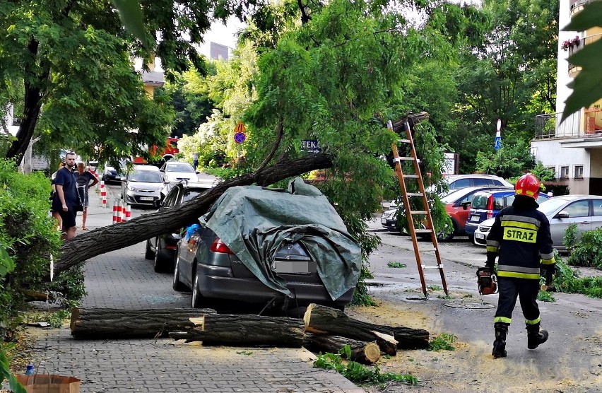 Kraków. Drzewo spadło na samochód. Trwa usuwanie szkód [ZDJĘCIA]