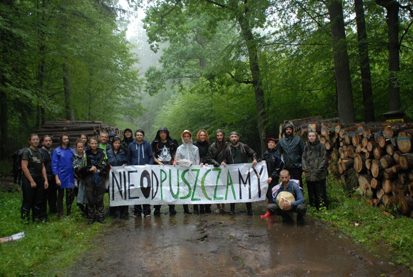 Protestujący zapowiadają, że wrócą do Puszczy Białowieskiej