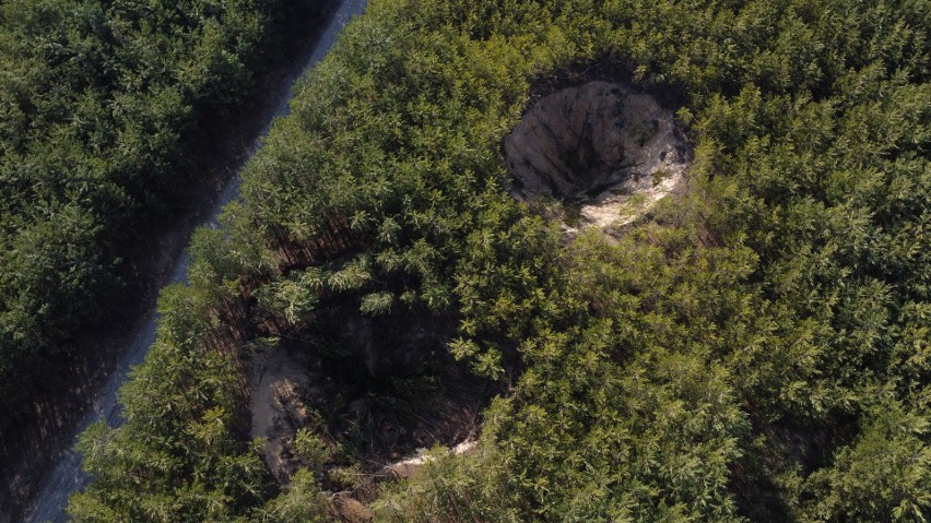 Nowe zapadliska koło Olkusza, w regionie jeziorka Piaski,...