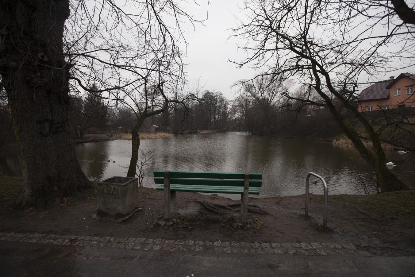 Mieszkańcy domagają się utworzenia w tym rejonie parku...