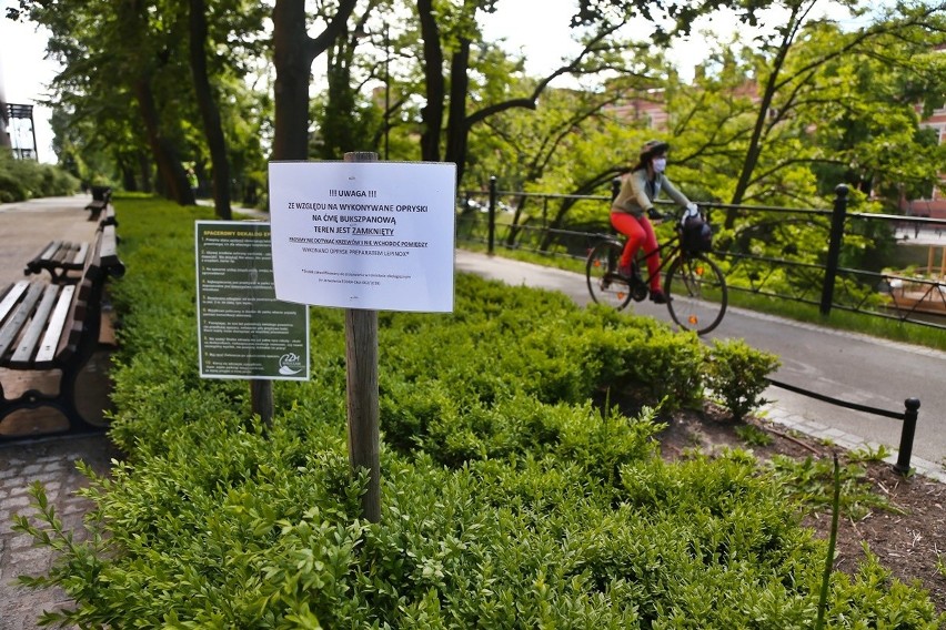 Wrocław: Zakaz dotykania krzewów. To może być groźne. Trwają opryski
