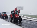 Strajk rolników na DK 11. Przez Śląsk jadą oflagowane ciągniki.  To #AGROpowstanie ZDJĘCIA