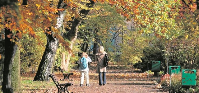 Pogoda na Śląsku zapowiada się bardzo przyjemnie. Temperatura nawet do 16 st. C.