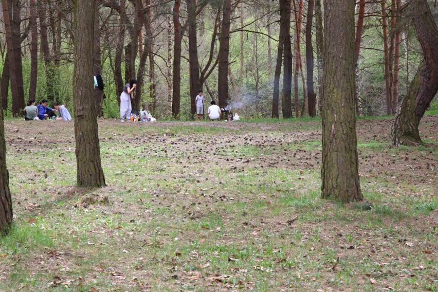 Piękna pogoda zachęca do spacerów w Wielkanoc. W Cedzynie pod Kielcami nie brakowało całych rodzin. Zobacz zdjęcia