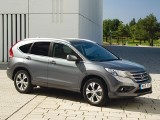 Honda CR-V. Auto może samo zahamować 