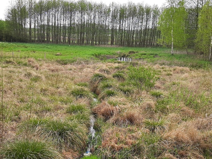 Regionalna Dyrekcja Ochrony Środowiska w Białymstoku stała się właścicielem ziemi.  To cztery działki w pobliżu Wzgórz Sokólskich