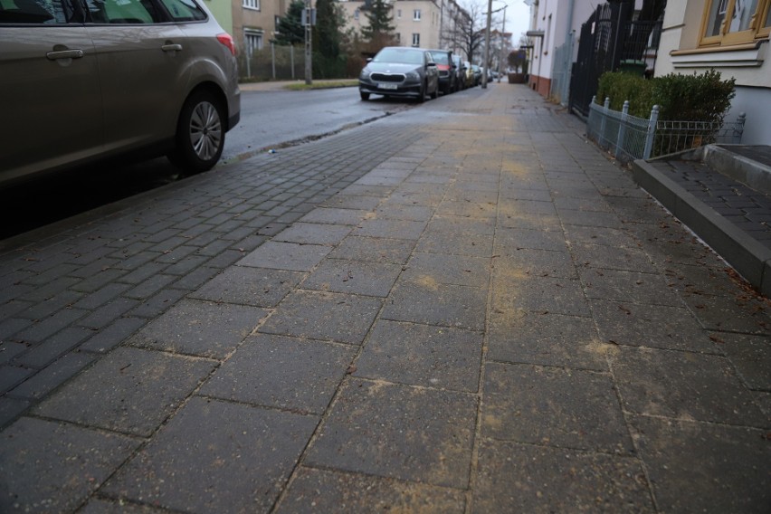 Posypane chodniki w Toruniu