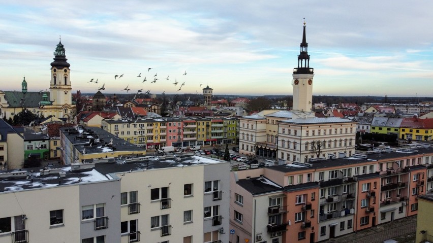 Numer PESEL można wyrobić w ratuszu w Strzelcach Opolskich....