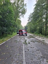 Blisko 30 interwencji strażaków w związku z burzami w regionie. Dzisiaj powinno być spokojnie