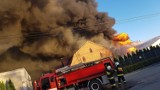 Pożar chlewni w Wychowańcu. Zginęło kilka tysięcy świń. Na miejscu strażacy z 4 powiatów [ZDJĘCIA, WIDEO]
