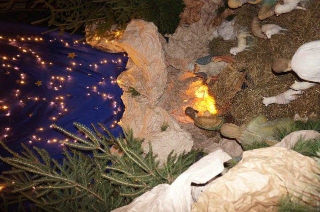 W Bazylice Katedralnej w Sandomierzu w tym roku bożonarodzeniowa  dekoracja przypomina  betlejemską grotę. Tło wykonane z papieru stanowi niebieskie płótno rozświetlone  lampkami i  gwiazdami, wskazując  miejsce urodzenia Jezusa  Chrystusa. W grocie jest Święta Rodzina