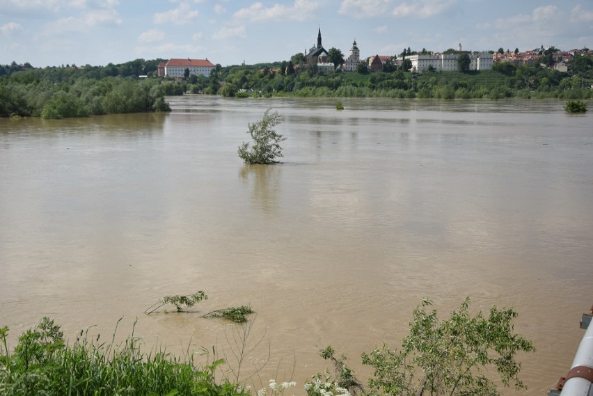 Przez Sandomierz przechodzi fala kulminacyjna na Wiśle. Zobacz zdjęcia 