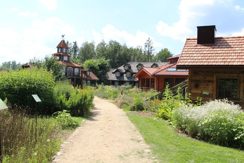 Ziołowy Zakątek w Korycinach na Podlasiu