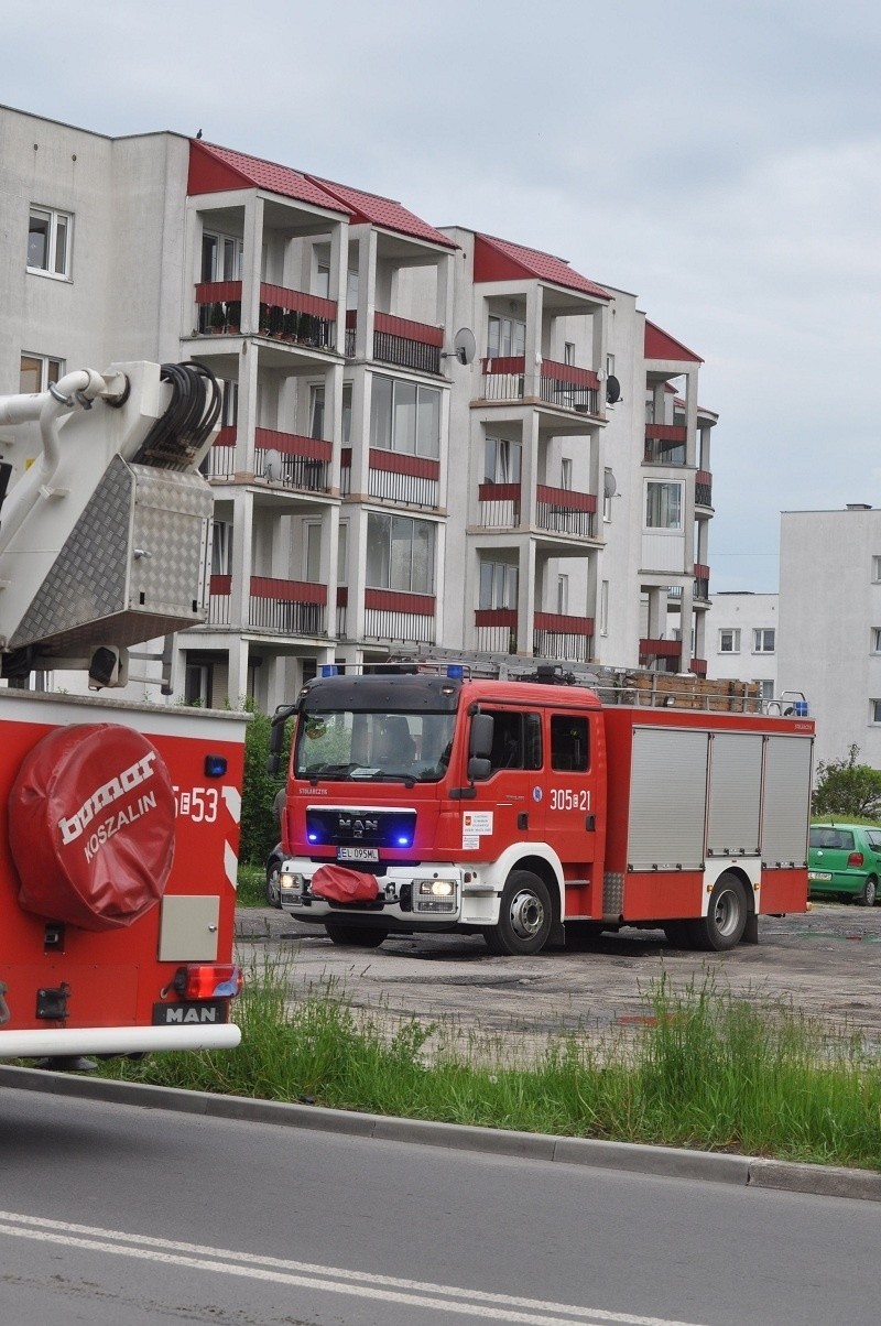 Strażacy na Widzewie ratowali... gołębia 