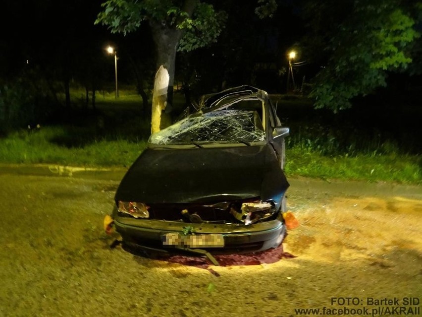 Wypadek w Bielsku-Białej. Pijany kierowca wypadł z drogi [ZDJĘCIA]