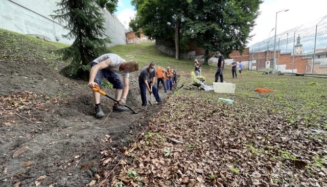 Pracują w więziennej kuchni, warsztacie, magazynie, radiowęźle, oddziałach mieszkalnych. Są także zatrudniani przez kontrahentów zewnętrznych. Program "Praca dla Więźniów" realizowany jest między innymi w bydgoskim areszcie. W jakich miejscach są zatrudniani osadzeni? Na jakich stanowiskach pracują więźniowie? Zobacz >>>>>