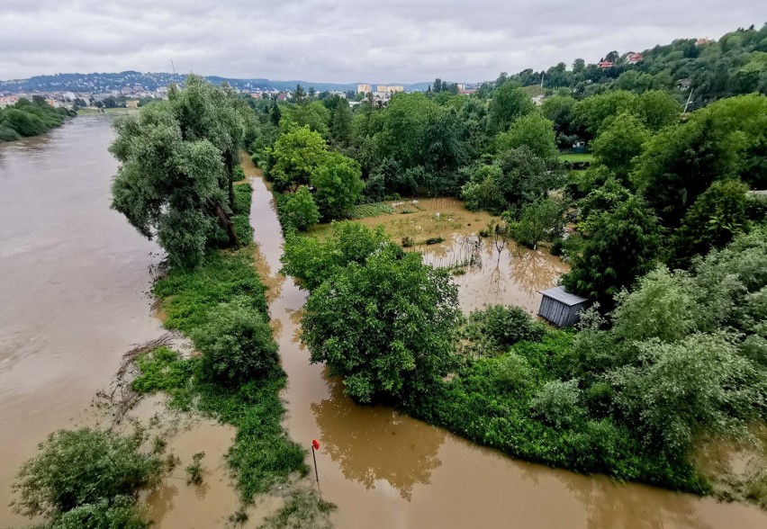 W Przemyślu San zalał ścieżki rowerowe i ogródki działkowe przy ul. Buszkowickiej. Na szczęście poziom rzeki opada [ZDJĘCIA]