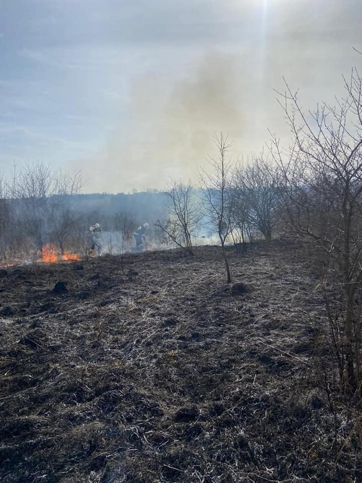 Pożar traw w Iwanowicach Włościańskich