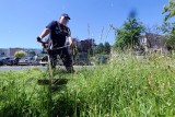 W niektórych miejscach Lublina będą kosić rzadziej. Kosiarki oszczędzą 85 ha miejskich trawników