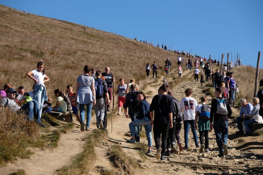 Piękna pogoda przyciągnęła w sobotę w Bieszczady setki osób...