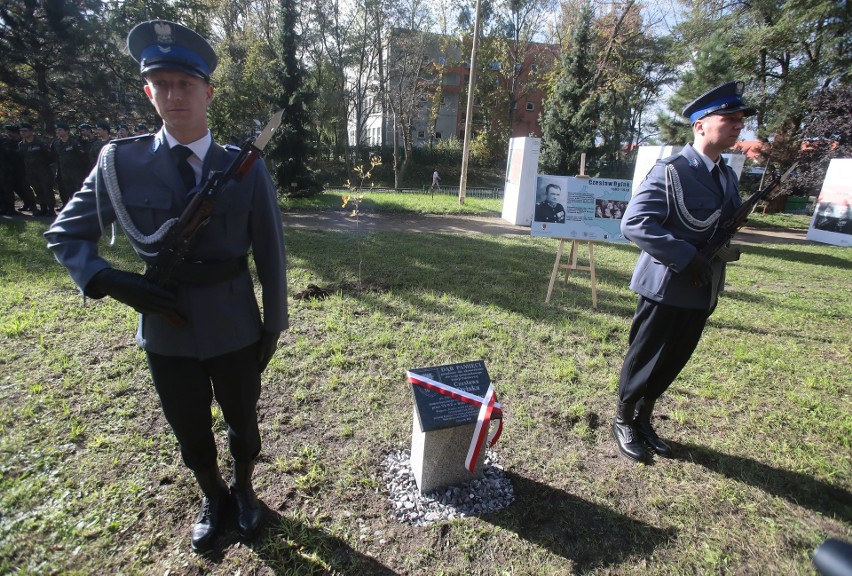 Dwa dęby pamięci ku czci zamordowanych na nieludzkiej ziemi. To jedne z 21.857 dębów