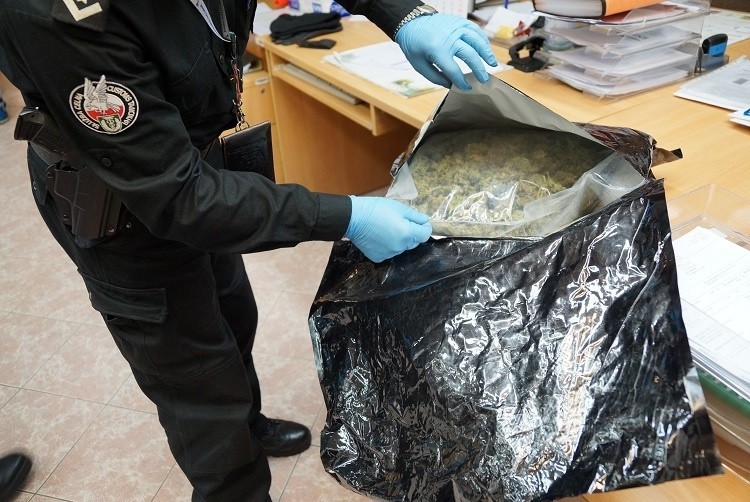18 kilogramów narkotyków wykrył w bagażach pies celników z...