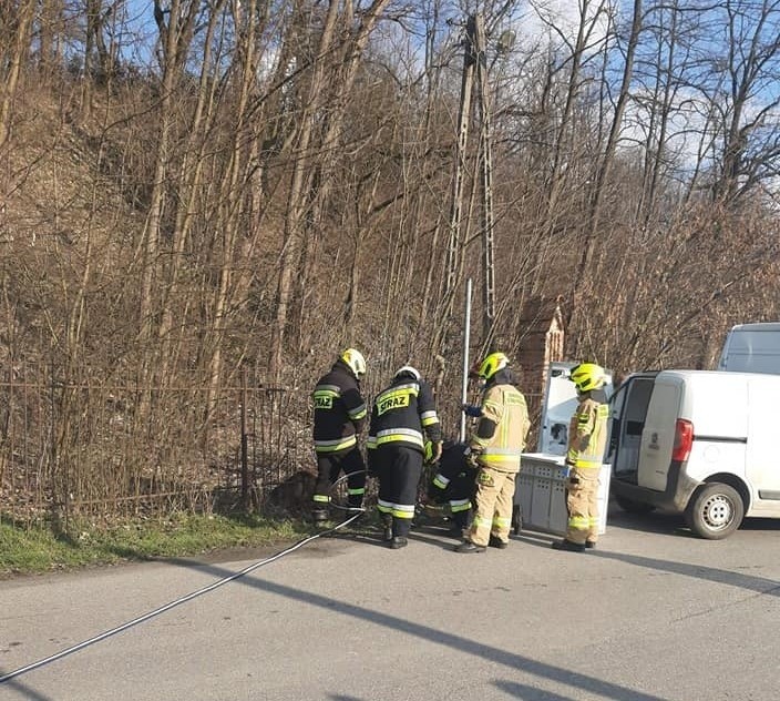 Strażacy z OSP Michałowice ratują sarnę, która utknęła...