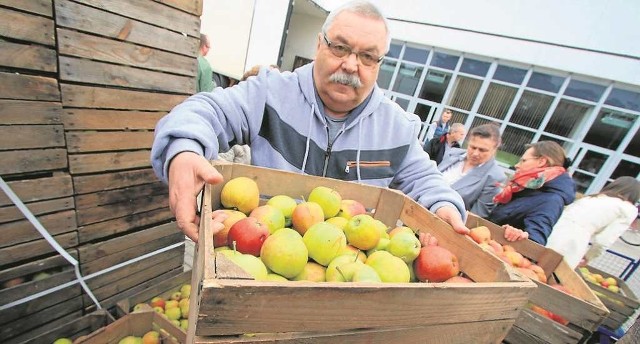 Producenci polskich jabłek głowią się, jak i gdzie sprzedać owoce