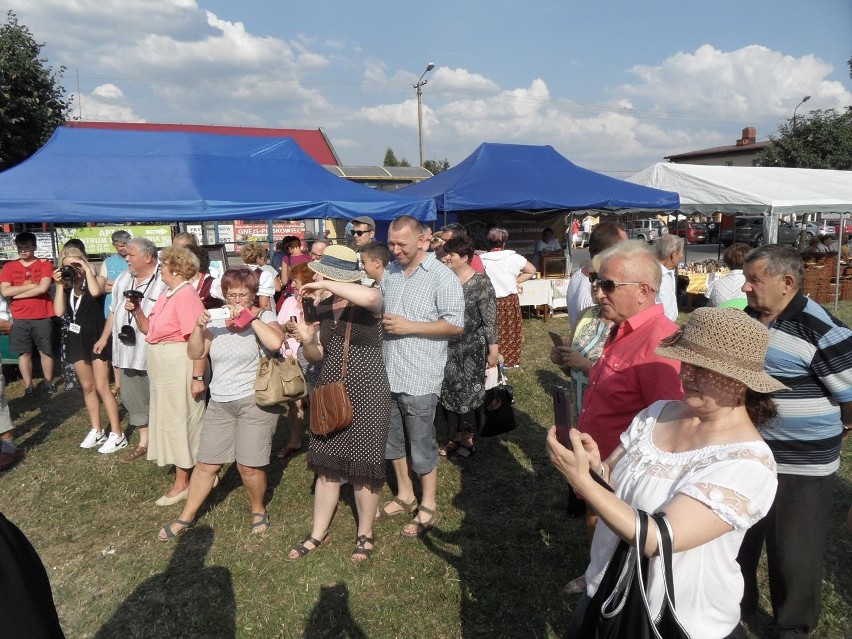 Jedyny w Polsce pomnik śliwki odłonięty [ZDJĘCIA] Święto śliwki 2015 w Lipowej