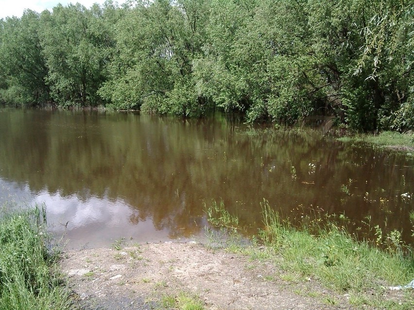 Zdjęcia z rzeki Złota w miejscowości Kuryłówka (pow....