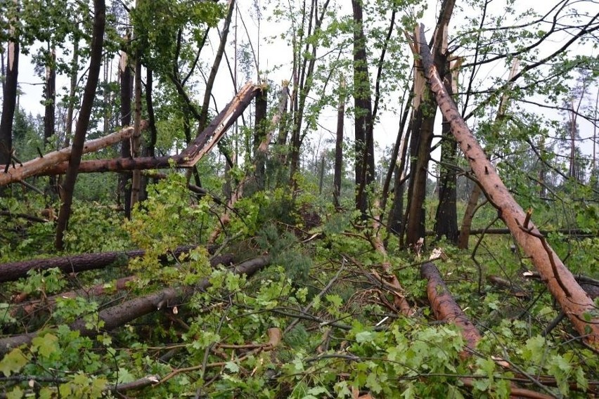 Tragedia w Suszku na Pomorzu. Zginęli harcerze z Łódzkiego