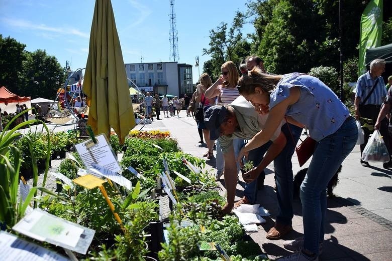 Już w weekend warto odwiedzić Jarmark Ogrodniczy Kresowy...