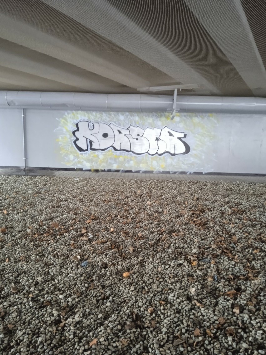 Katowice: Miasto walczy z wandalami. Nielegalne graffiti niszczy nowe obiekty