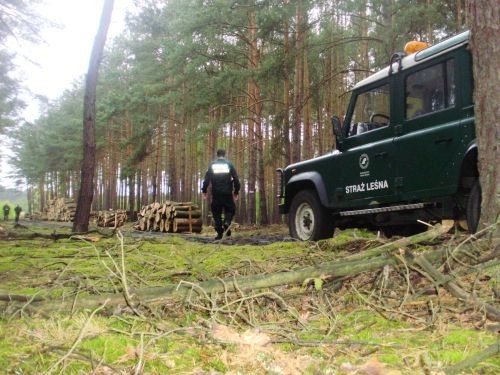 Wspólne patrole sławskich policjantów i strażników leśnych...